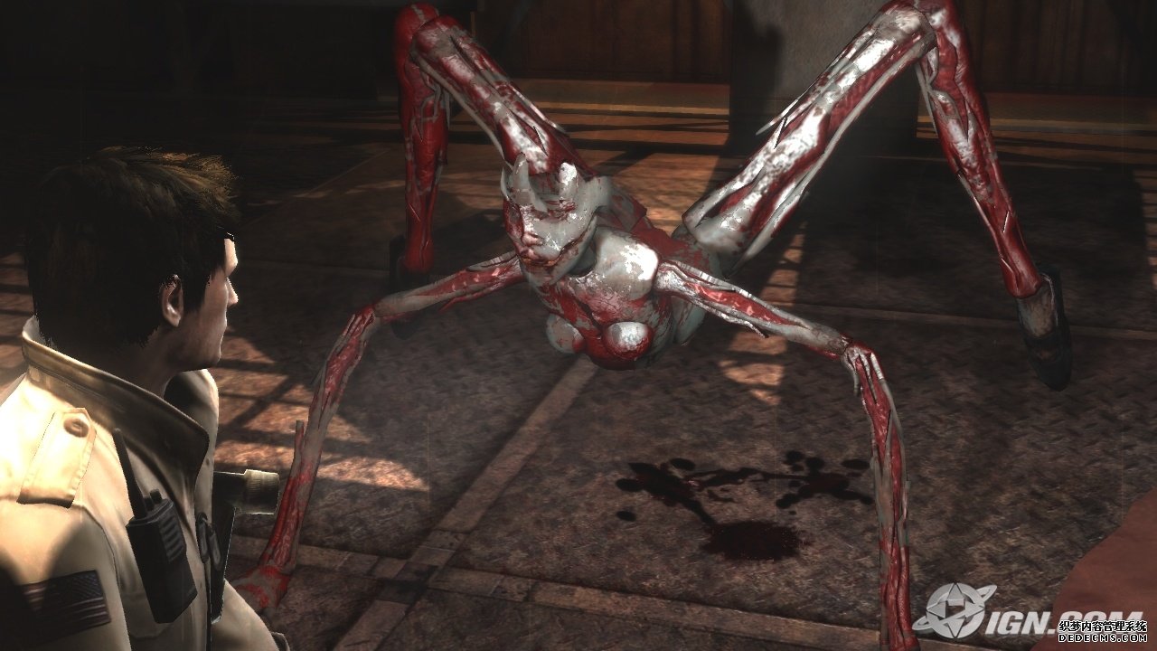 天堂2私服讲述乙肝人的恋爱故事2010年11月7日